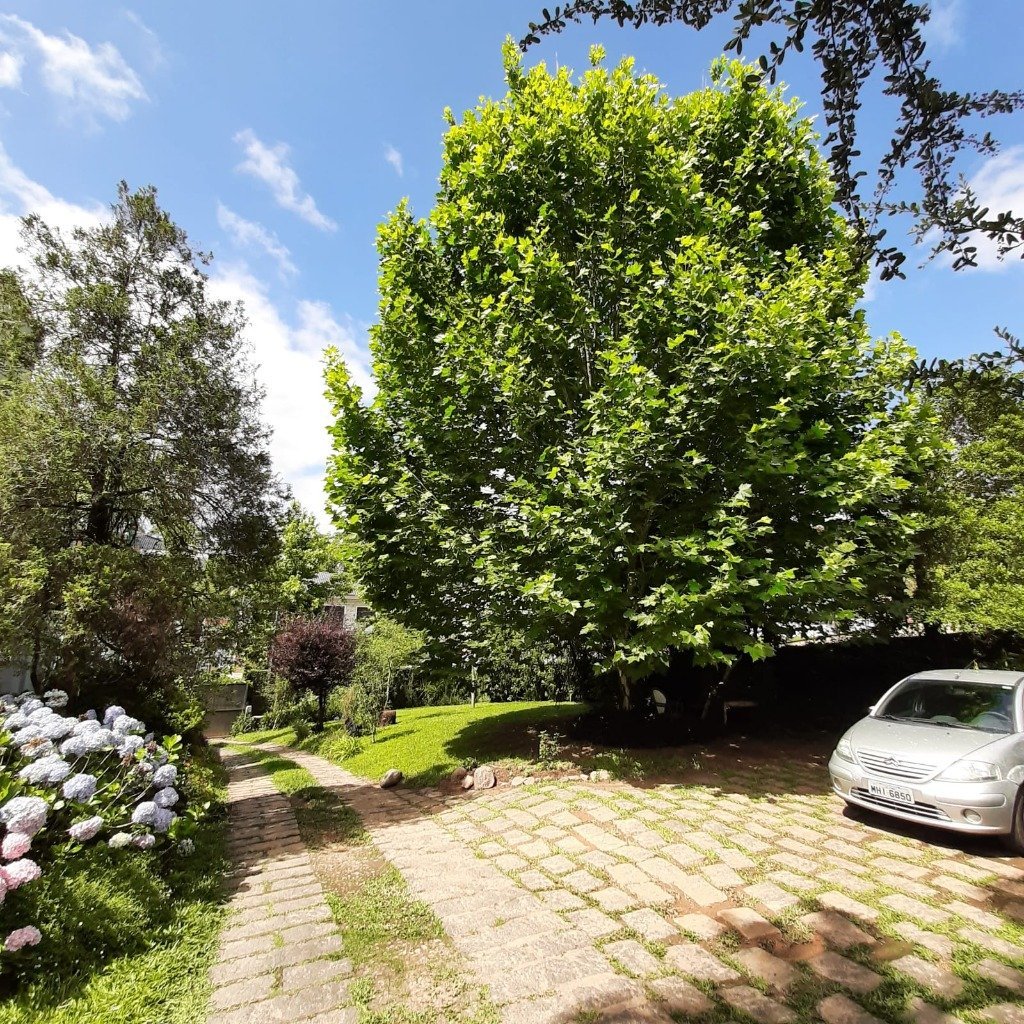 WhatsApp Image 2025-10-16 at 16.26