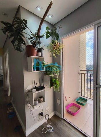 apartment em Rua Alzira Marcondes, Residencial Parque da Fazenda - Campinas - SP