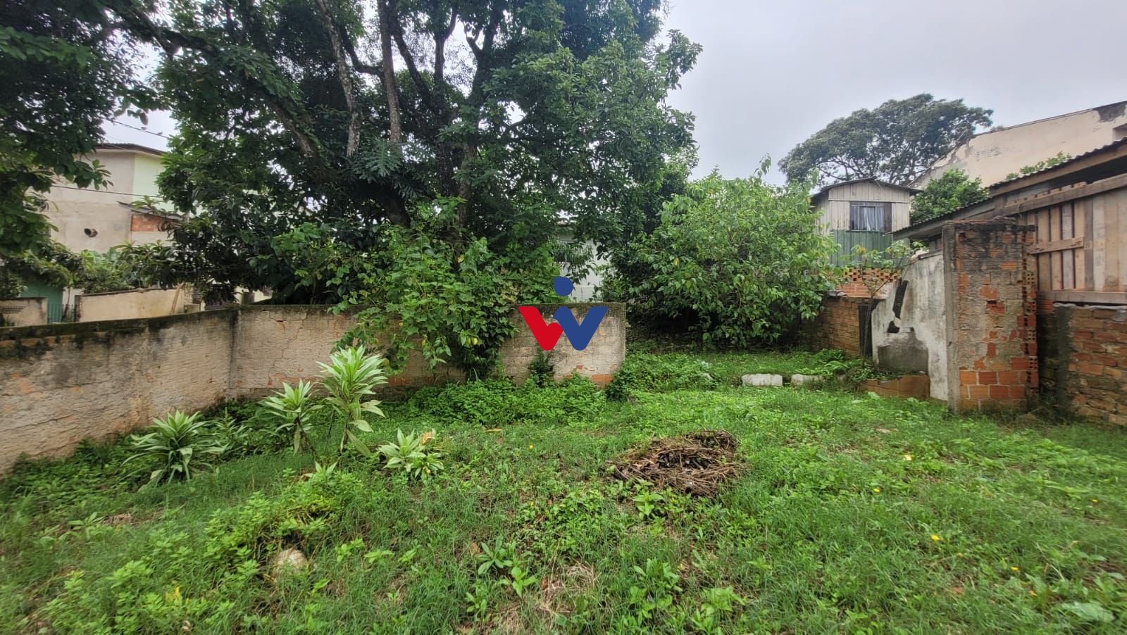 image-0