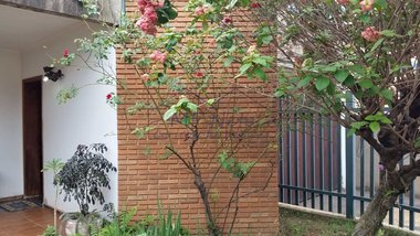 house em Rua 15 de Novembro, Centro - Pirassununga - SP