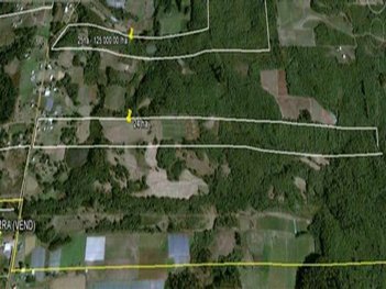 commercial_building em Rodovia dos Romeiros, Linha Palmeiro - Farroupilha - RS