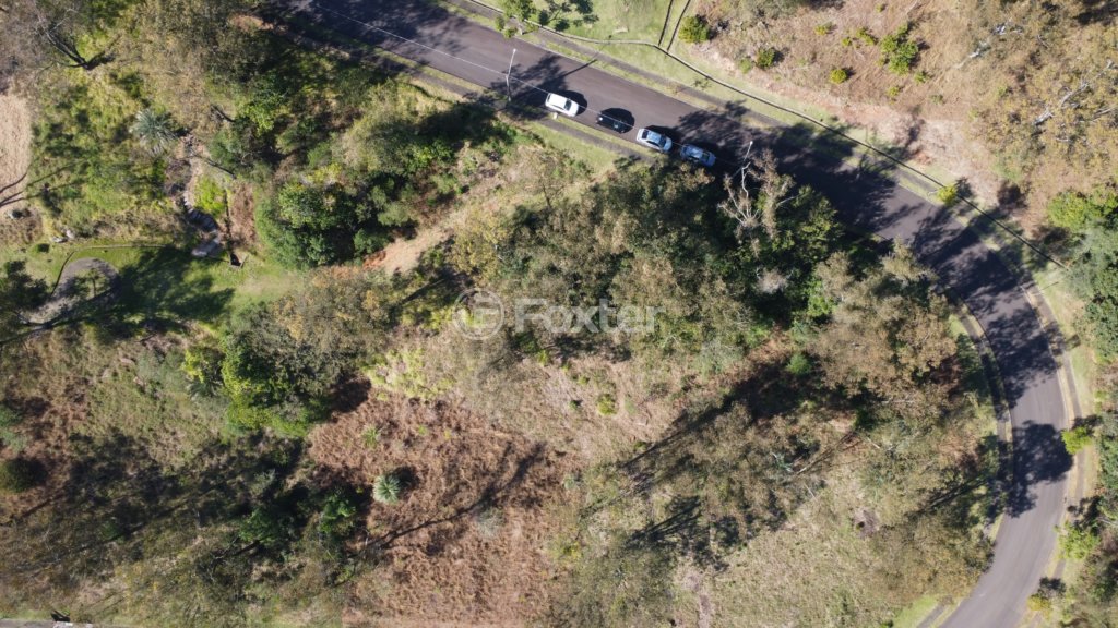 DJI_0555.JPG