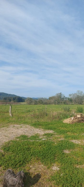 land_lot em Victor Beltrame, Pé de Plátano - Santa Maria - RS