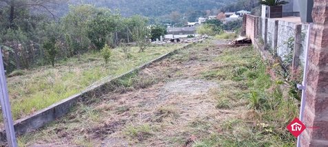 land_lot em Rodovia BR-116, Vila Cristina - Caxias do Sul - RS