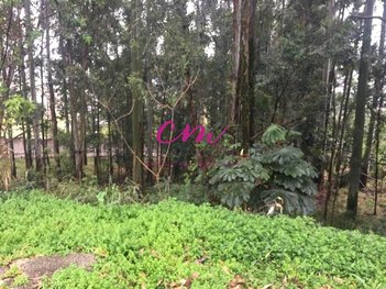 land_lot em Ceci, Tamboré - Barueri - SP