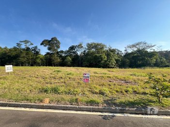 land_lot em Avenida Professor Nicolau Destri Napoleão, Jardim Angélica - Criciúma - SC