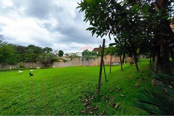 land_lot em Rua Maria Adelaide Ladesma Galor, Jardim Paineira - Mogi Guaçu - SP