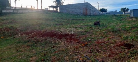land_lot em Rua Genova, Jardim São Camilo II - Araraquara - SP