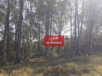 land_lot em Estrada Professor Aroldo de Azevedo, Corredor - Itaquaquecetuba - SP