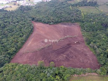 commercial_land_lot em Rodovia RS-453, Nova Sardenha - Farroupilha - RS