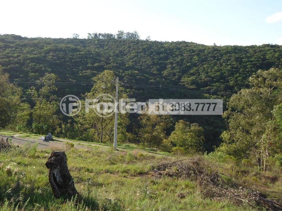 foto.jpg