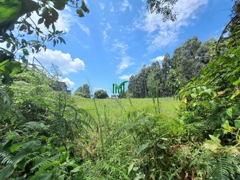 commercial_land_lot em Rsc 453 Km 150, Ana Rech - Caxias do Sul - RS