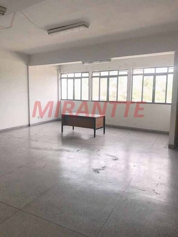 office em Cabo Adão Pereira, Vila Pereira Barreto - São Paulo - SP