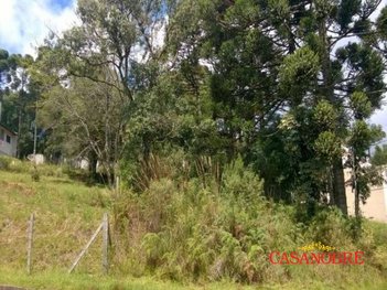 land_lot em Rudimar Antônio Thomazoni, Ana Rech - Caxias do Sul - RS