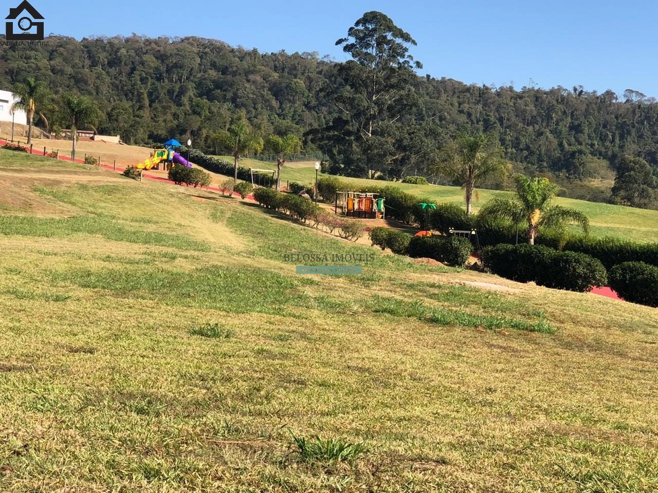 Foto 01