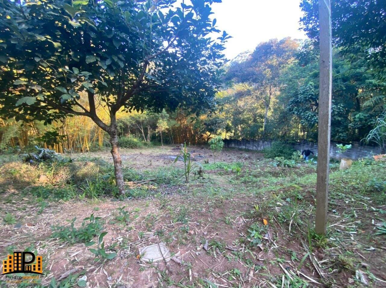 Foto 02