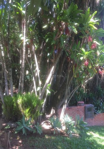 land_lot em Arlindo Pasqualini, Jardim Isabel - Porto Alegre - RS