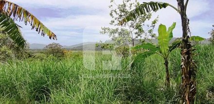 land_lot em Rua Padre Rohr, Santo Antônio de Lisboa - Florianópolis - SC