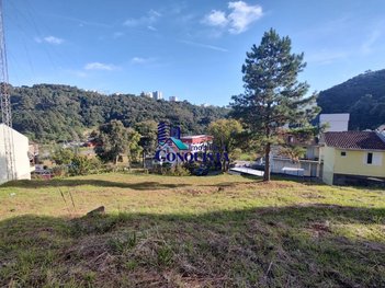 land_lot em Rua Sofia Leal Corrêa, De Zorzi - Caxias do Sul - RS