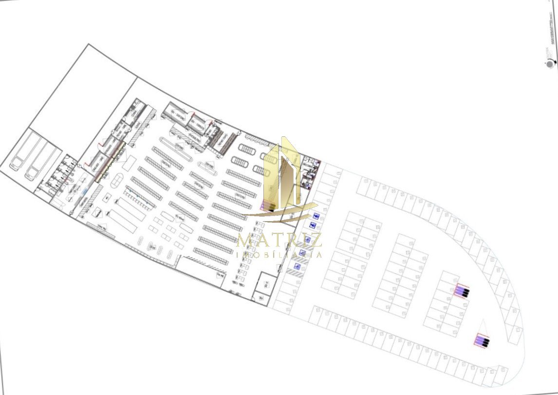 WhatsApp Image 2022-07-15 at 17.09