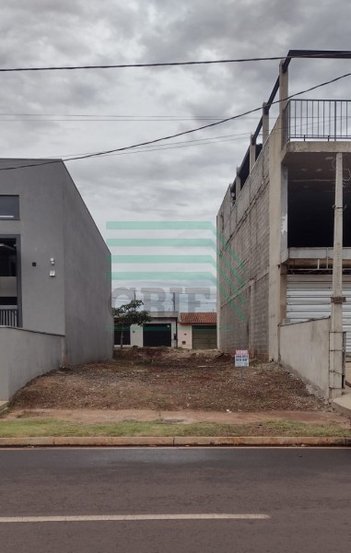 land_lot em Avenida Maximilliam Max Maggioni, Jardim Cristo Redentor - Ribeirão Preto - SP