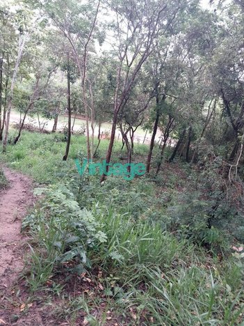 land_lot em Rua D, Vila Esmeraldas - Esmeraldas - MG
