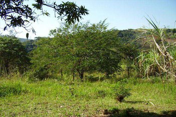land_lot em Rua Padre Luís Alves Siqueira Castro, Jardim Parnaíba - Santana de Parnaíba - SP