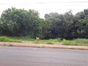 land_lot em Rua Américo Nunes Maia, Jardim Itapuã - Sertãozinho - SP