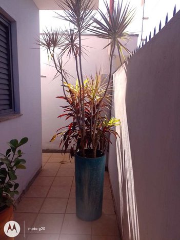 house em Rua Major Rolla, Vila Braz - Pirassununga - SP