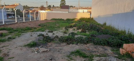 land_lot em Rua João Modesto, Residencial Cedro - Botucatu - SP