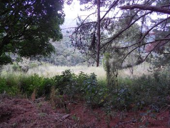 land_lot em Estrada das Perobas, Araras - Petrópolis - RJ