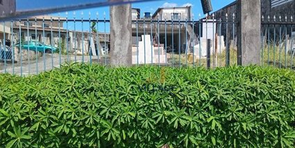 commercial_land_lot em Avenida São José, Ayrosa - Osasco - SP