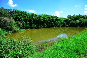 land_lot em Rodovia dos Agricultores, Jardim Portugal - Valinhos - SP