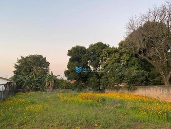 land_lot em Rua Flôr do Carvalho, Éden - Sorocaba - SP