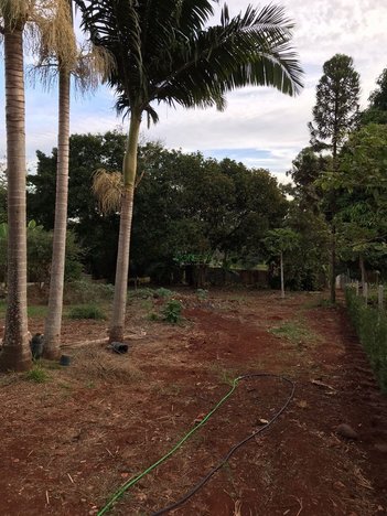 agricultural em Rua Encarnação Carnisari Guerreiro, Parque Nacional - Londrina - PR