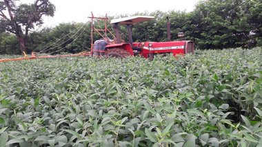 commercial_land_lot em Rua Abrahan Lincoln, Parque Residencial Frezzarin - Santa Bárbara D'Oeste - SP