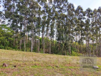 land_lot em Rua Thereza Kipper Trinks, Linha Santa Cruz - Santa Cruz do Sul - RS