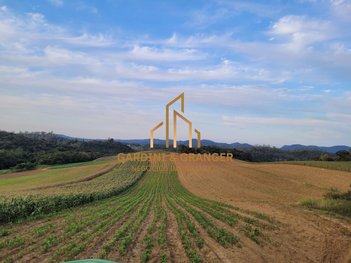 land_lot em Rodovia Paulo Rolin Loureiro, Vila Moraes - Mogi das Cruzes - SP