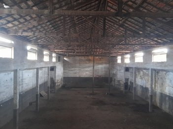 industrial em Rua Independência, Jardinópolis - Belo Horizonte - MG