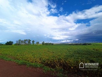 land_lot em Estrada Romeira, Gleba Ribeirão Centenário - Maringá - PR