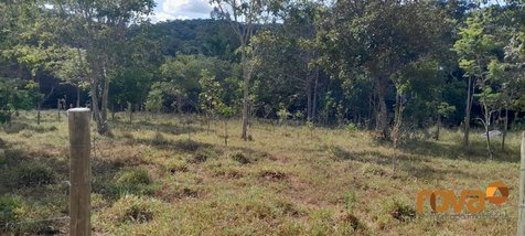 agricultural em Avenida Luiz Gonzaga Jaime, Alto do Bonfim - Pirenópolis - GO