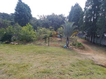 agricultural em Avenida Brasil - Japão, Mairinque - Mairinque - SP