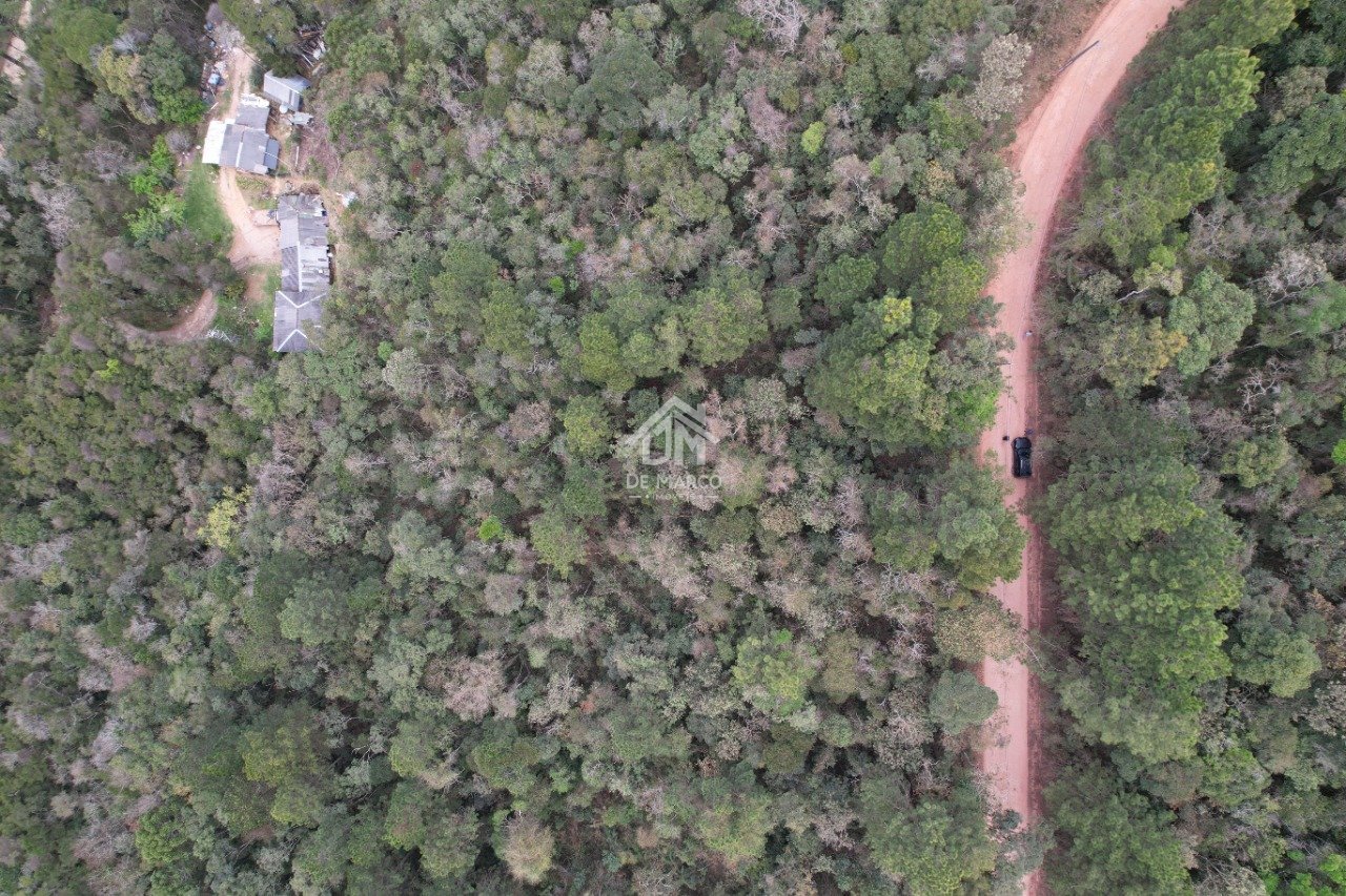 dji_fly_20250916_120036_222_1758114824831_photo