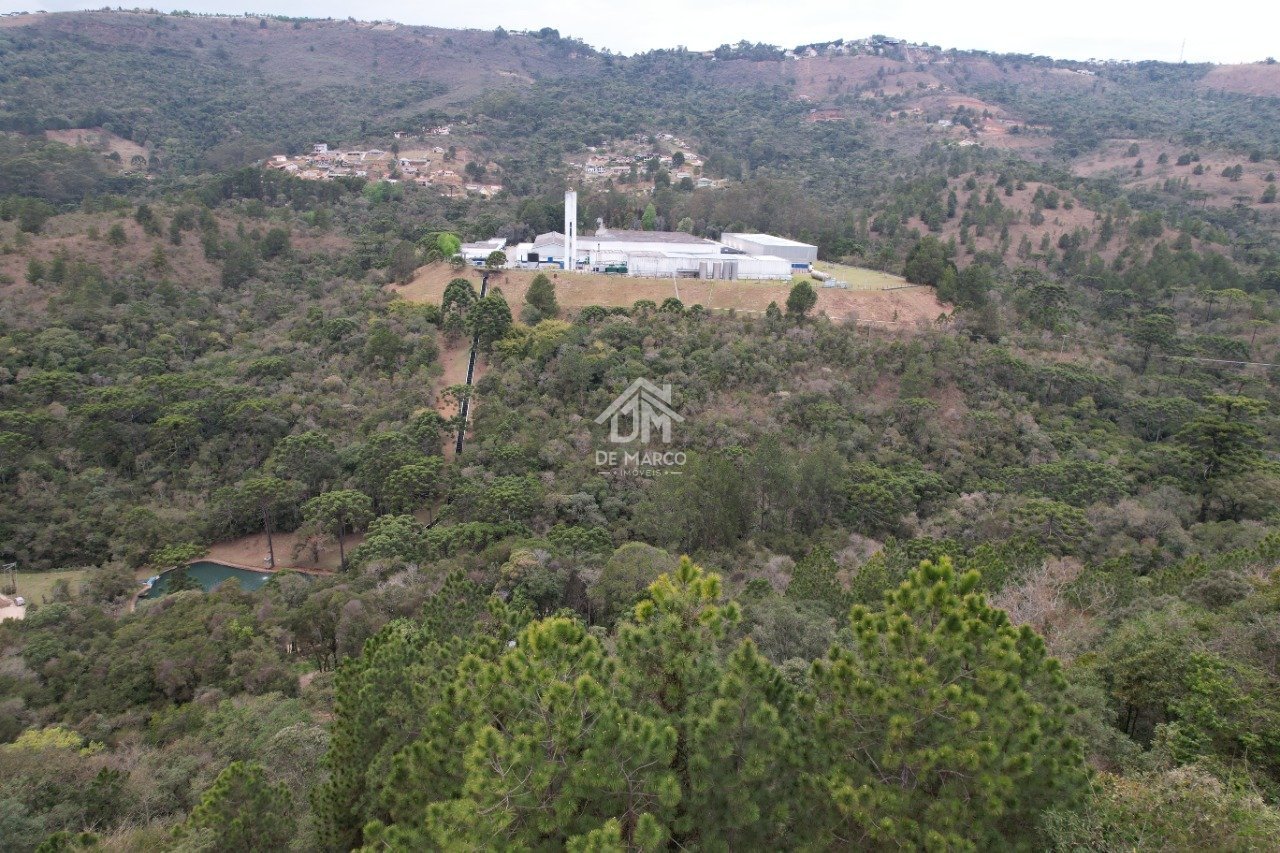 dji_fly_20250916_115802_214_1758114845109_photo