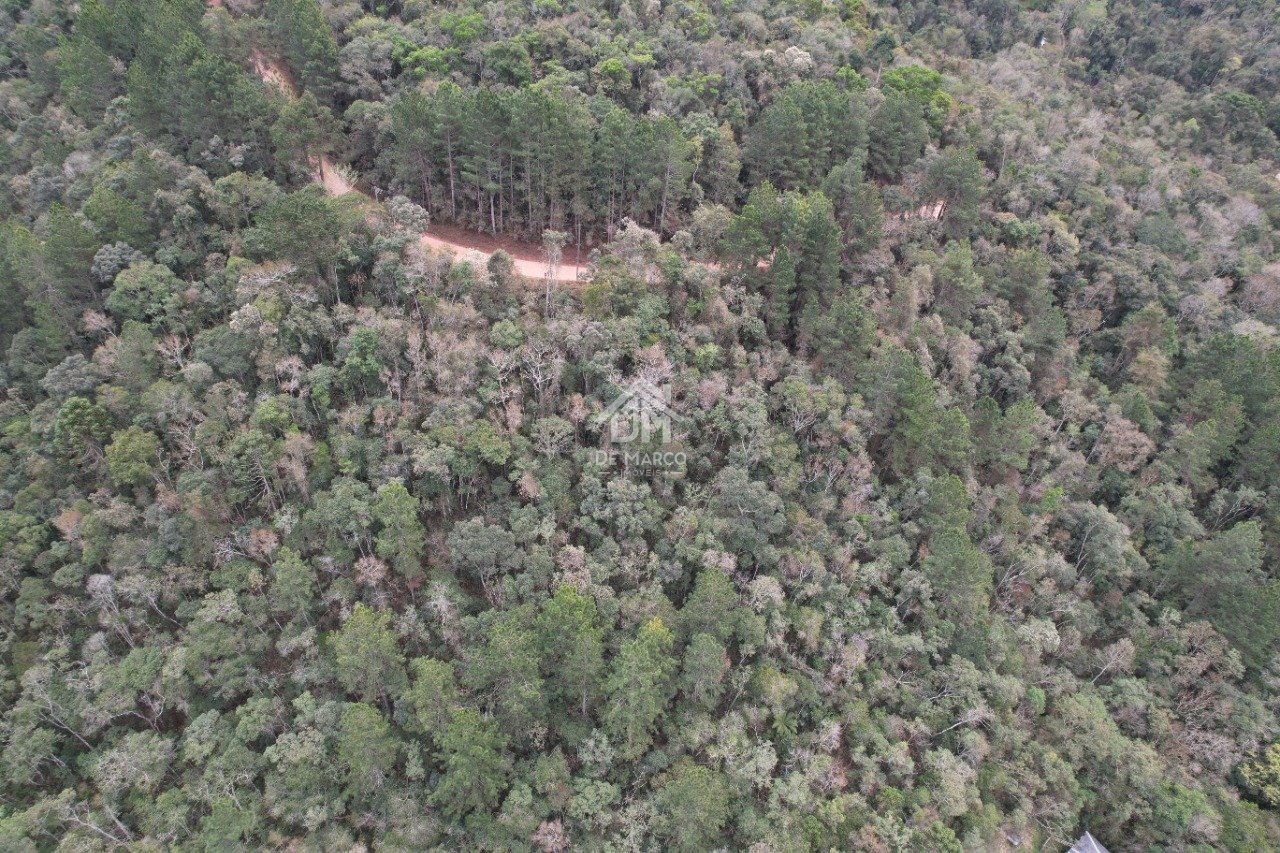 dji_fly_20250916_115838_215_1758996594153_photo