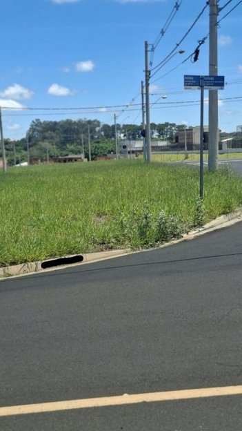 land_lot em Rodovia BR-153, Fazenda da Mata (Zona Rural) - São José do Rio Preto - SP