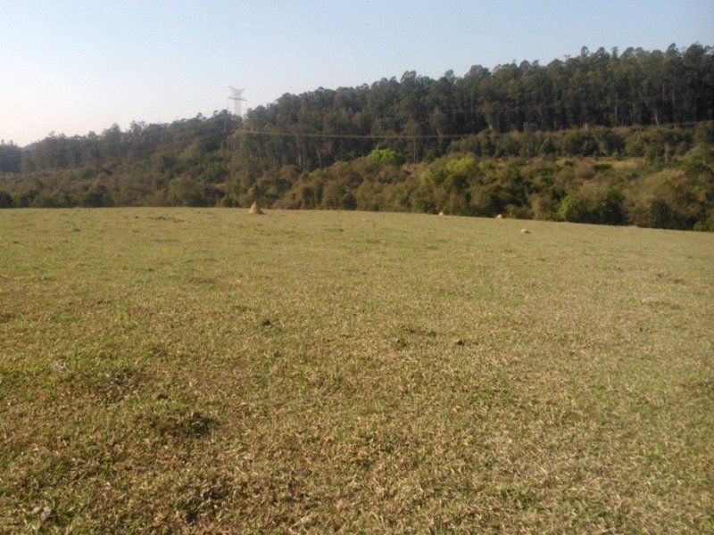 Foto 01