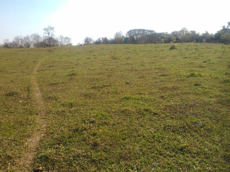 Foto 02