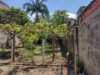 house em Avenida João Neri de Carvalho, Vila Rosaria - São Paulo - SP