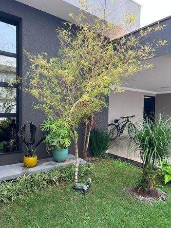 house em Rua Fernando Baldini, Jardim Parati - Jaú - SP